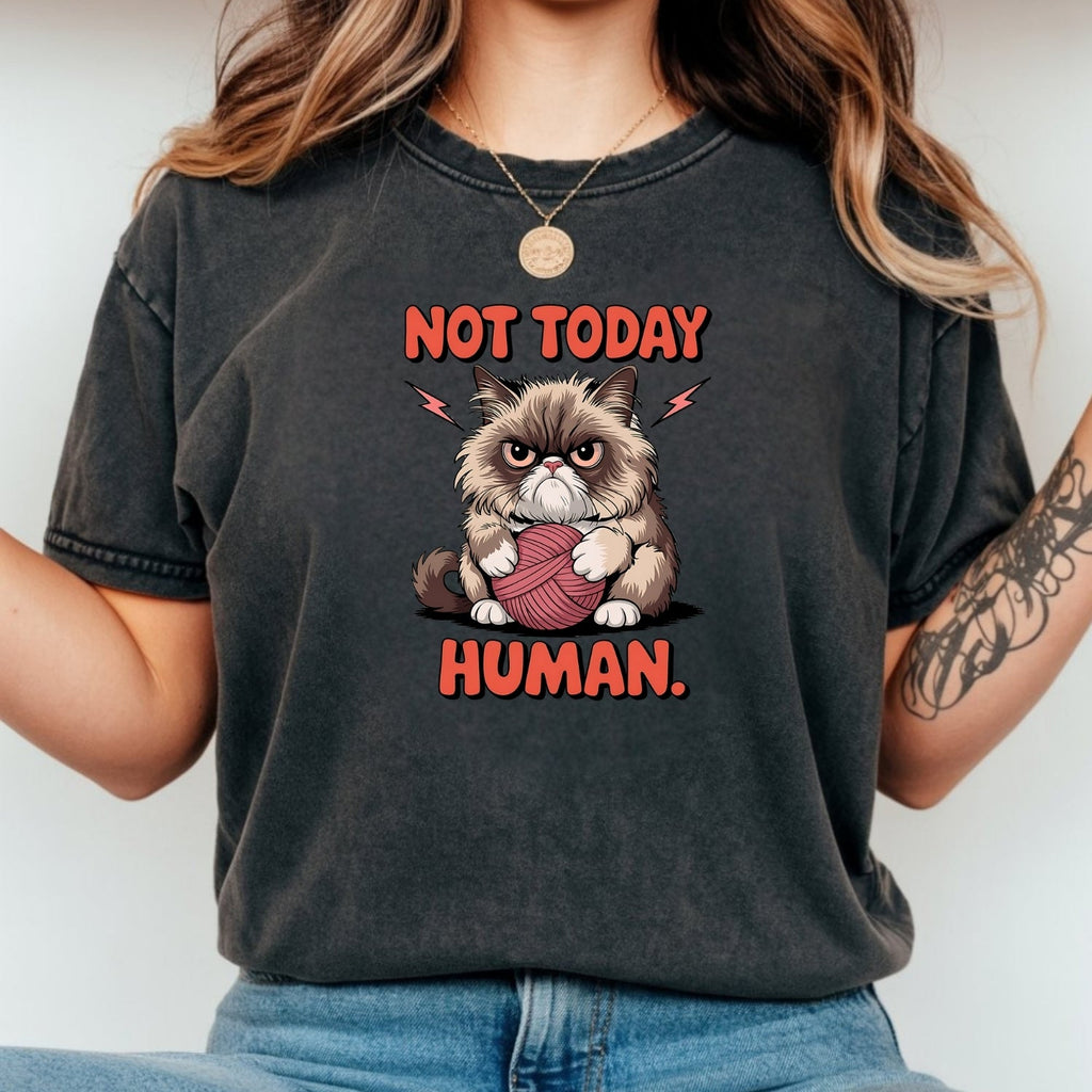 Not Today Human T-Shirt - Funny Cat Sarcastic Graphic Tee product image 5