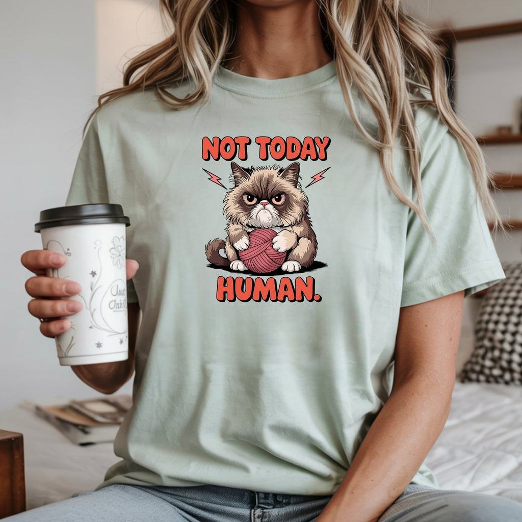 Not Today Human T-Shirt - Funny Cat Sarcastic Graphic Tee product image 11
