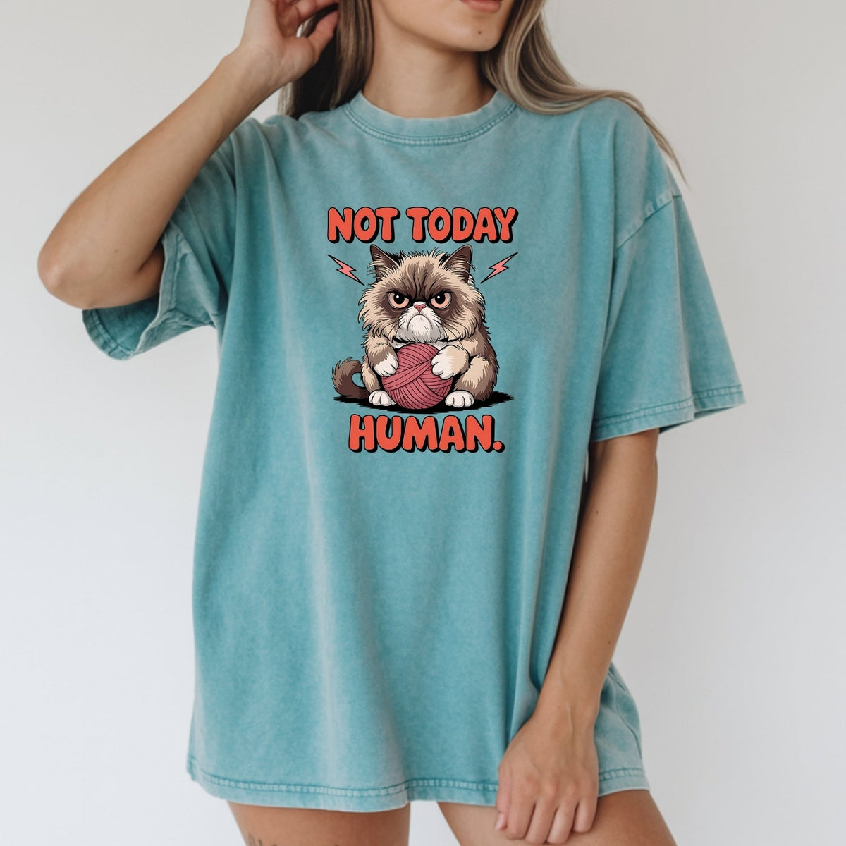 Not Today Human T-Shirt - Funny Cat Sarcastic Graphic Tee product image 14