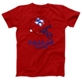 Dallas Texans Arena Football product image 1