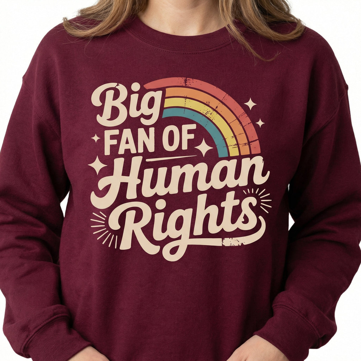 Big Fan of Human Rights Graphic T-Shirt – Retro Rainbow product image 3
