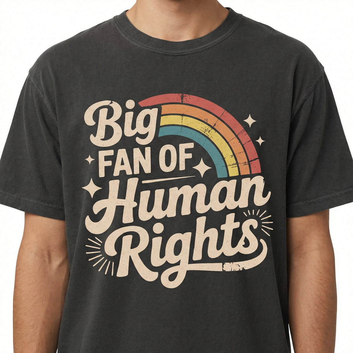 Big Fan of Human Rights Graphic T-Shirt – Retro Rainbow product image 4