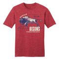 Buffalo Football Bisons product image 1