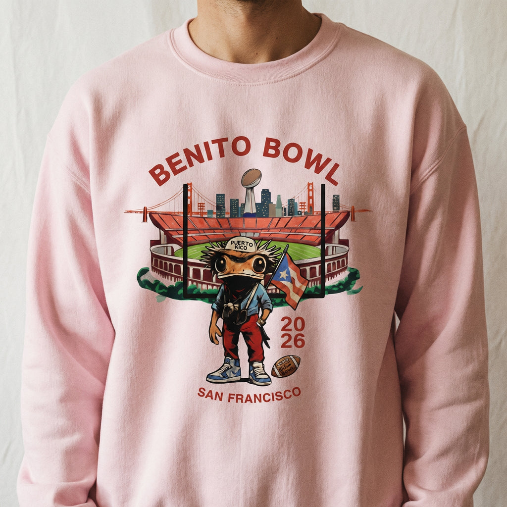 Bunny Bowl 2026 Football Graphic T-Shirt – Funny Sports Fan product image 2