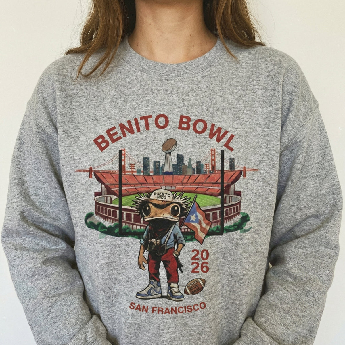 Bunny Bowl 2026 Football Graphic T-Shirt – Funny Sports Fan product image 6
