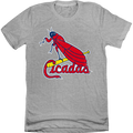 The St. Louis Cicadas Baseball Team product image 1