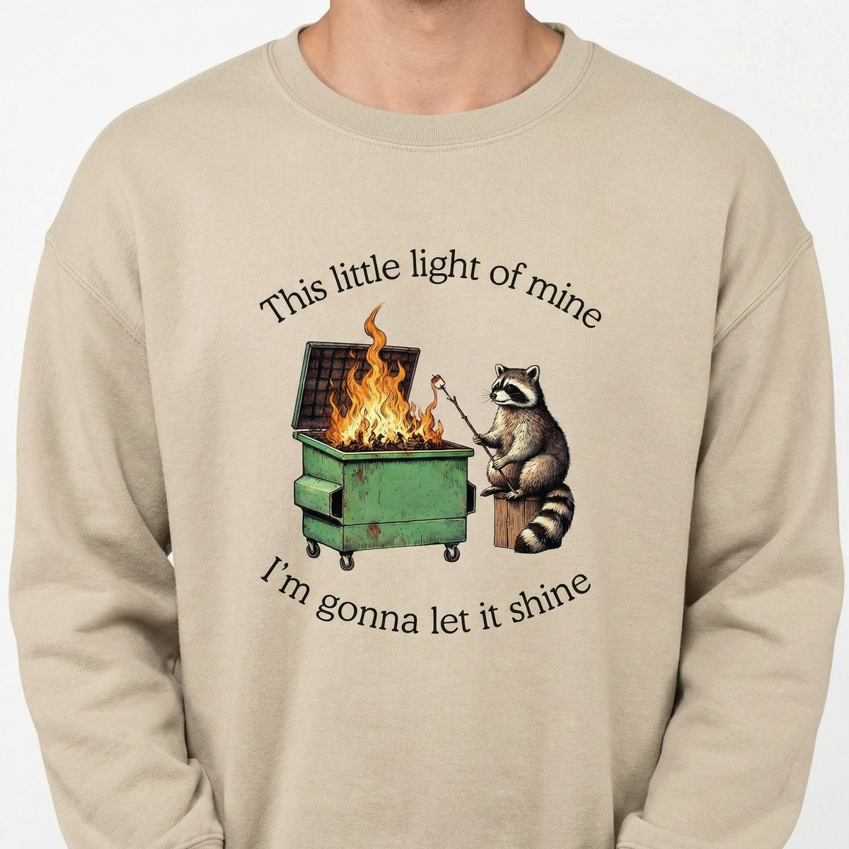 Dumpster Fire Raccoon Funny Graphic T-Shirt – Mental Health product image 2