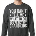 Funny Grandpa Graphic T-Shirt - You Can't Tell Me What To product image 1