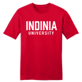 Indinia University product image 1
