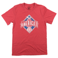 Negro American League Alternate Logo product image 1