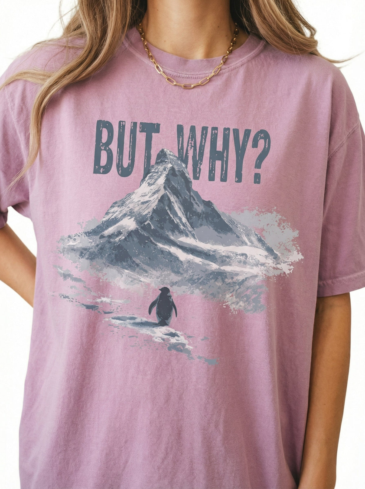Vintage Nihilist Penguin Graphic T-Shirt – But Why Meme product image 5