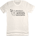 Women's American Basketball Association product image 1