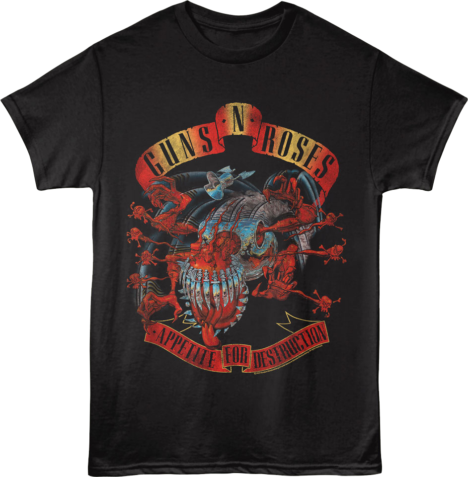 Appetite For Destruction Original Artwork Guns N' Roses product image 1