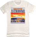 Houston Astrodome Sunset product image 1
