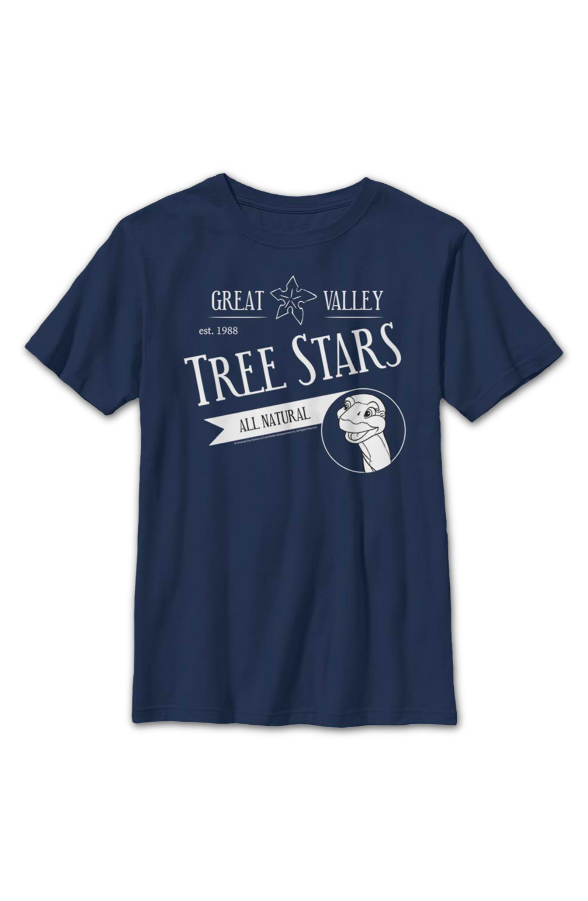 Boys Youth Great Valley Tree Stars Land Before Time Shirt product image 2