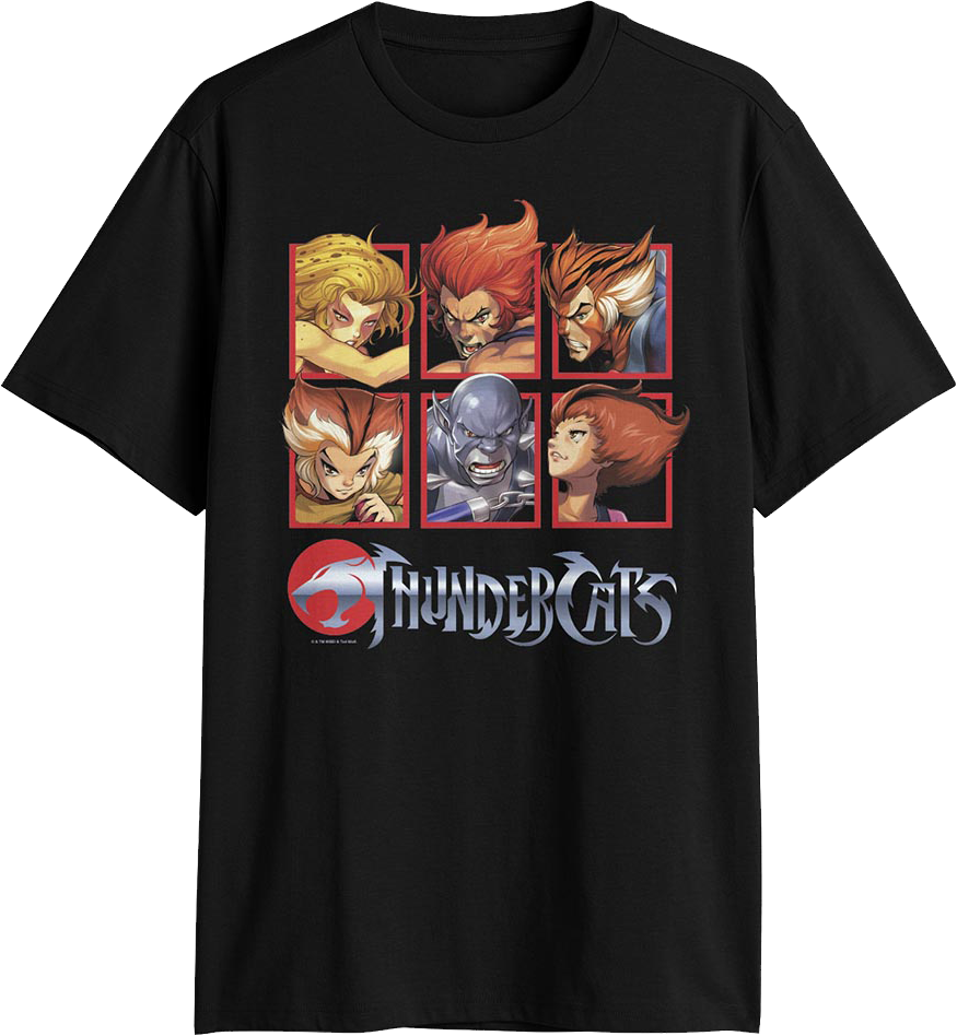Character Boxes ThunderCats T-Shirt product image 1