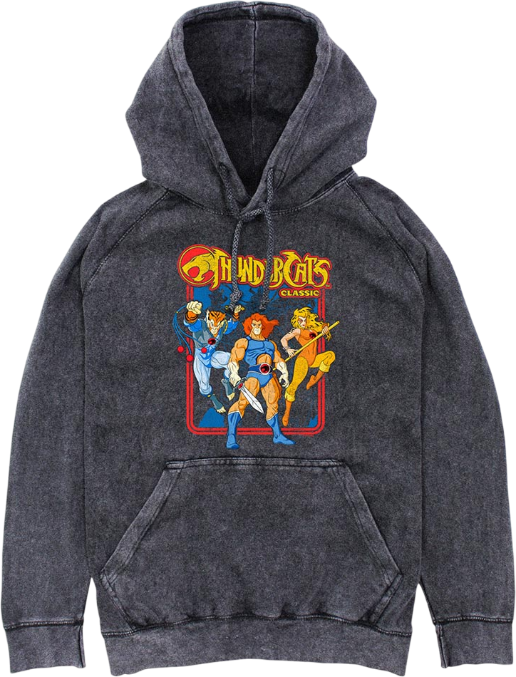 Classic Hero Poses ThunderCats Hoodie product image 1