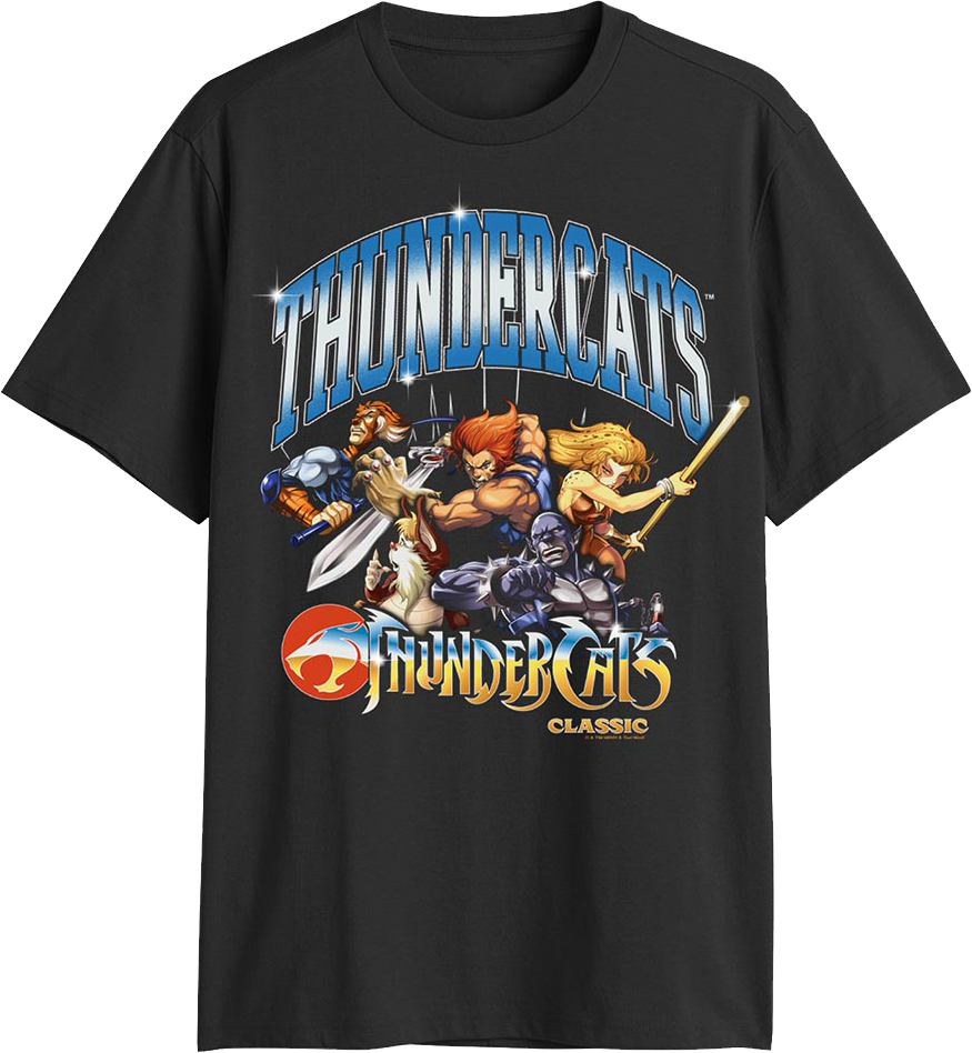 Classic Poses And Shiny Logo ThunderCats T-Shirt product image 1