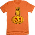 Owl on Jack O'lantern product image 1