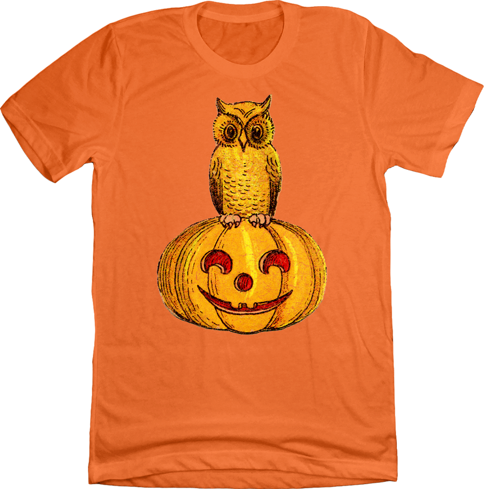 Owl on Jack O'lantern product image 1