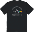The Dark Side of Moon Prism Pink Floyd T-Shirt product image 1