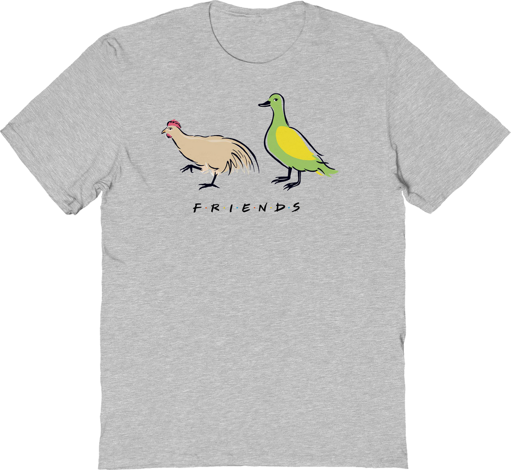 A Chicken And A Duck Friends T-Shirt product image 1