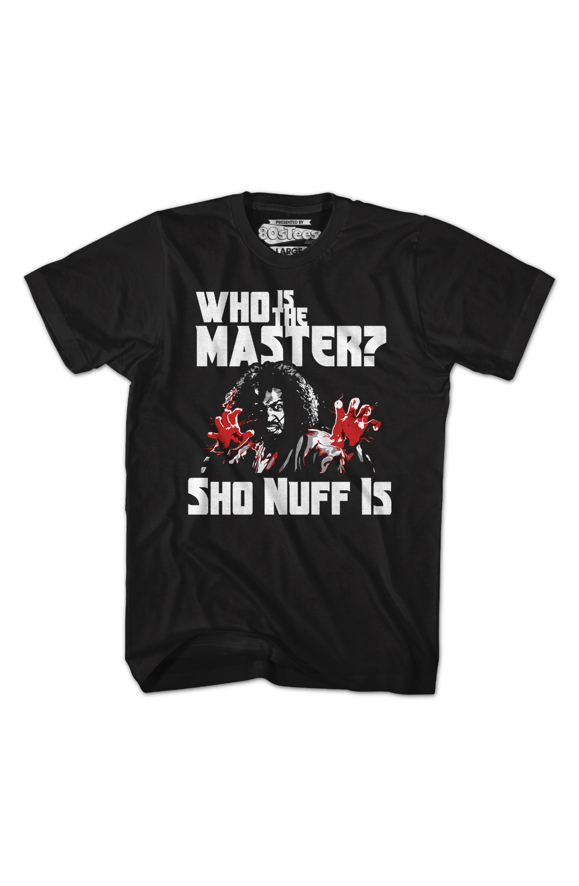 Who Is The Master Last Dragon T-Shirt product image 2