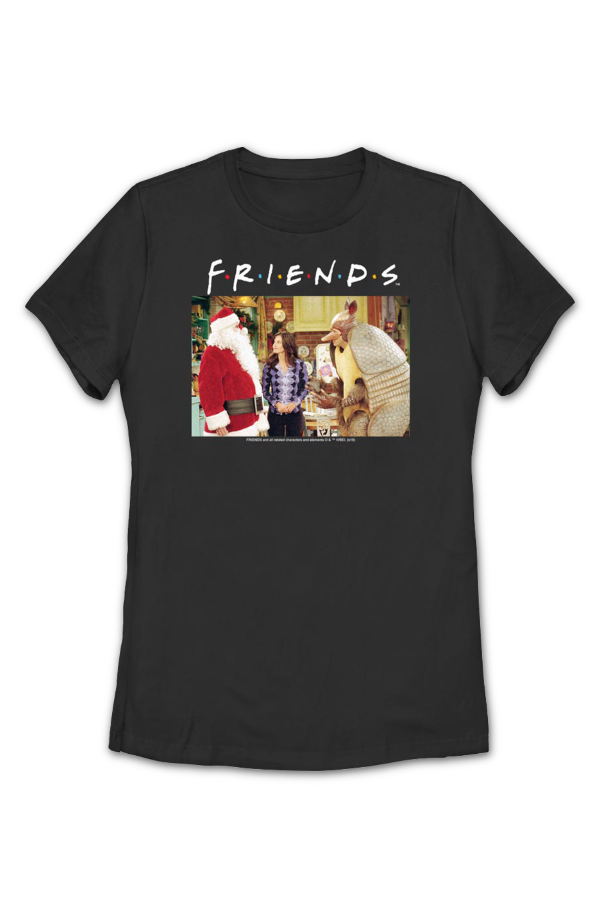 Womens Holiday Armadillo Friends Shirt product image 2