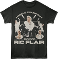 World Champion Wooooo! Ric Flair T-Shirt product image 1